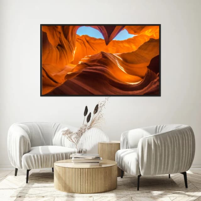 Quadro Decorativo Antelope