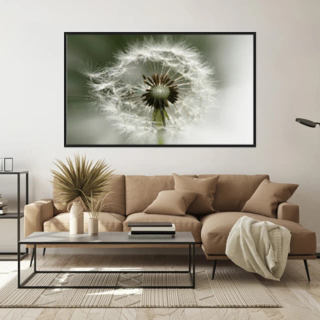 Quadro Decorativo Dente De Leão