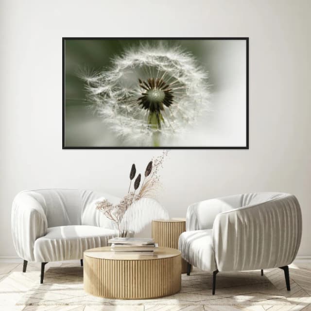 Quadro Decorativo Dente De Leão