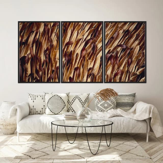 Kit Quadros Decorativos Vagem Desidratada