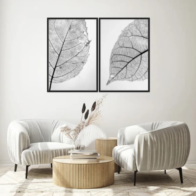 Kit Quadros Decorativos Folha Raio X